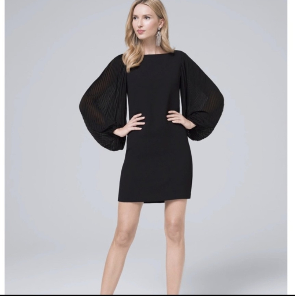 Beautiful! White House Black Market dress knee length sheer long sleeves size 6